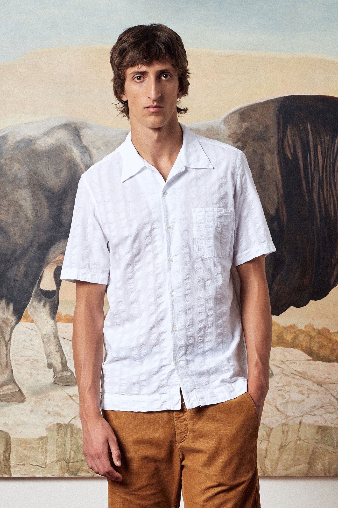 VENICE - Short sleeve shirt in jacquard cotton - bianco