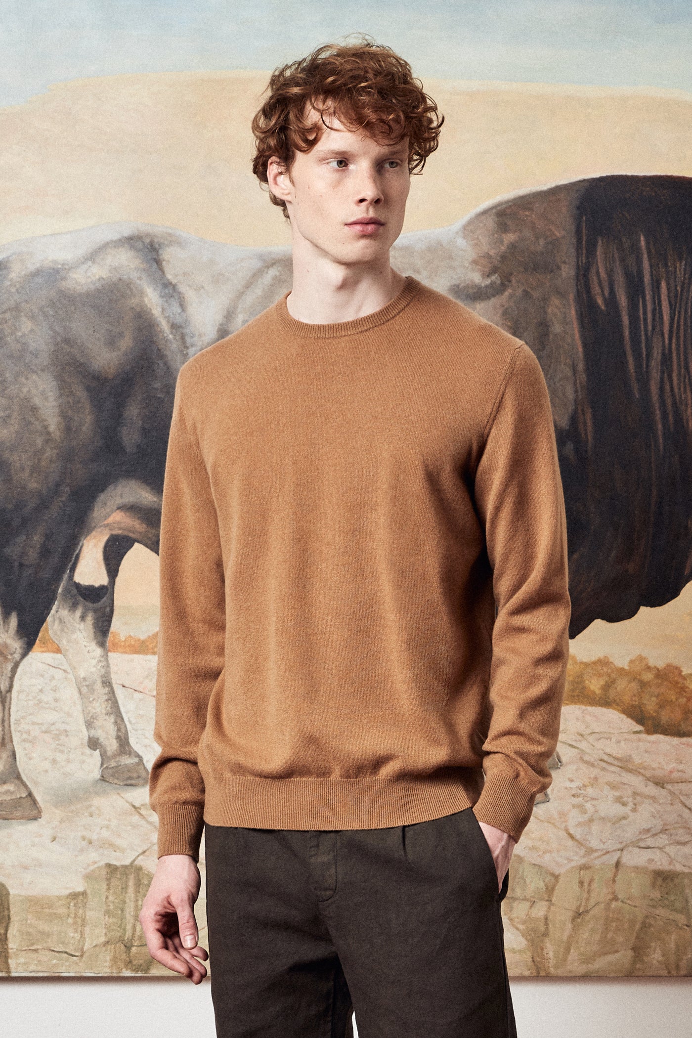 Men Knitwear – Massimo Alba